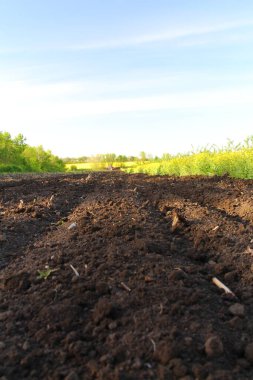 Topraklı ve mavi gökyüzü.