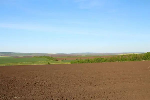 tarım arazisi ve mavi gökyüzü, tarım arazisi