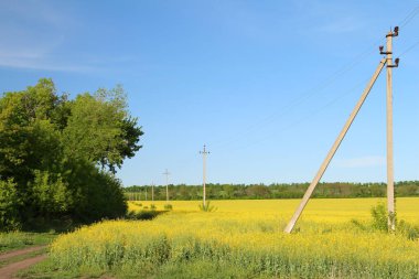 Yazın kırsal kesimde elektrik hattı.