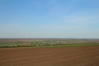 Yukarıdan, buğday tarlasının manzarası