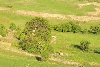 Arka planda ağaçlar ve dağlar olan manzara