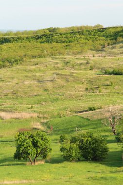 Doğanın güzel manzarası