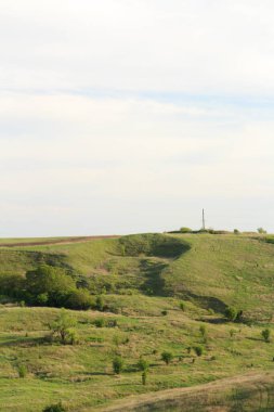 Yeşil çimen ve mavi gökyüzü olan güzel bir manzara.