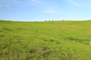yeşil çimen ve gökyüzü