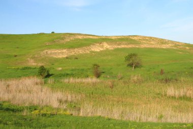 Mavi gökyüzü ile yeşil alan