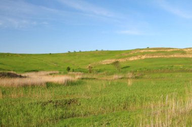 Ağacı ve tarlası olan güzel bir manzara.