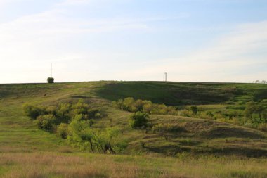Ağaçlardan, mavi gökyüzünden ve beyaz bulutlardan oluşan güzel bir yaz manzarası.