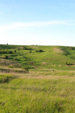 Mavi gökyüzünün arka planında yeşil tepeler ve çimenler.
