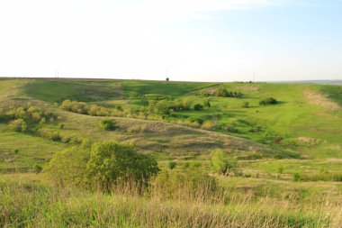 Yeşil Çimen ve Mavi Gökyüzü