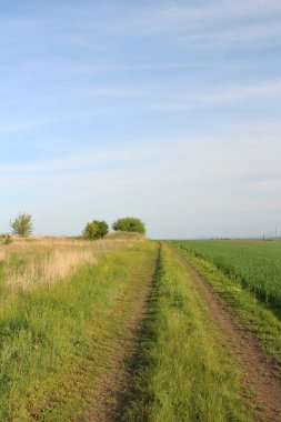 Kırsal bir arazi ve ufka giden bir yol..