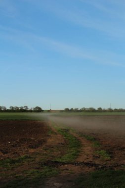 a beautiful shot of a field of wheat in the countryside