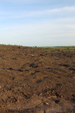 tarlada kuru toprak