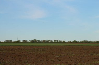 bir tarlanın ortasında büyük bir tarla