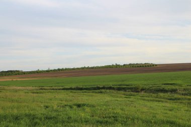 Baharda güzel tarla manzarası