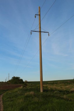 Çayırdaki elektrik hattı