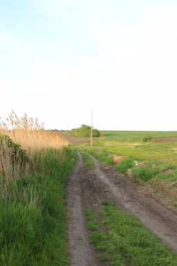 Kırsal kesimde toprak yol