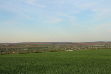 İngiltere 'deki kırsal alanların manzarası.