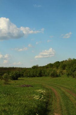 Yeşil alan, mavi gökyüzü, bulutlar