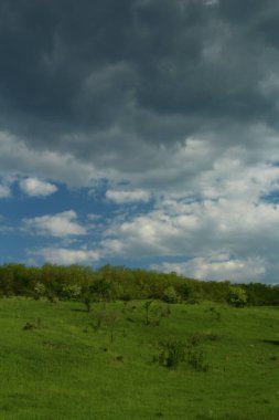 yeşil tarla ve mavi gökyüzü