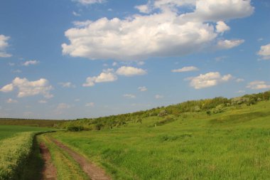 Yeşil tarlalı manzara ve bulutlu mavi gökyüzü