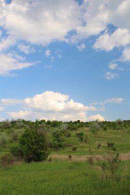 Doğanın güzel manzarası