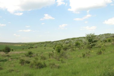 yeşil alan ve gökyüzü