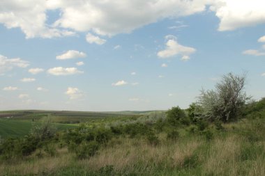 Doğanın güzel manzarası