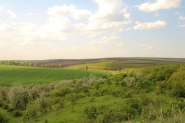 Yeşil tarla ve bulutlu mavi gökyüzü.