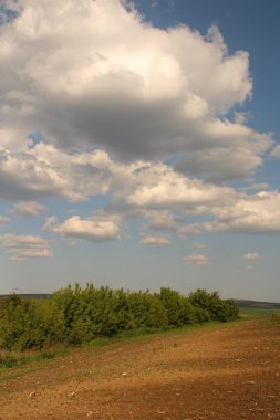 Doğanın güzel manzarası
