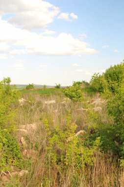 Ağacı olan güzel bir manzara