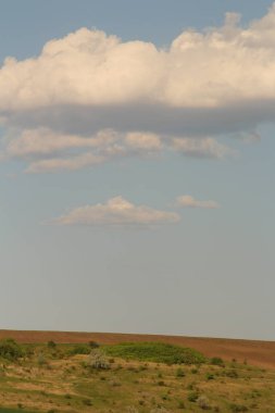 Bozkır manzarası, yaz günü. Gökyüzü ve çimenler. Kazakistan. Kazakistan gündüz vakti. gündüz vakti.