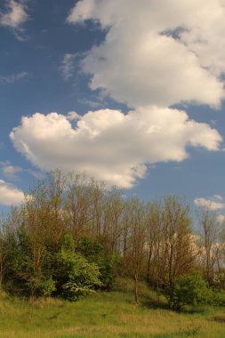 Mavi gökyüzü ile yeşil alan