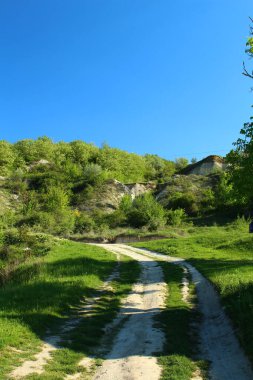 Güneşli bir günde güzel yeşil bir manzara