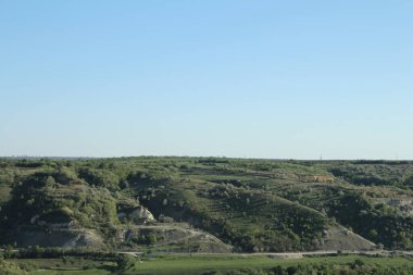 Ağaçlar ve mavi gökyüzü olan güzel bir manzara.