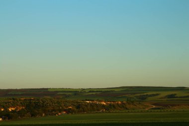 ağaçları ile güzel yeşil alan