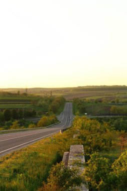 Gün batımında çimlerin yol ve tarlası
