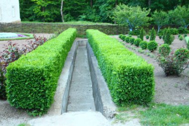 Versay şehrindeki şatonun parkında..