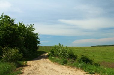 Ormandaki toprak yol