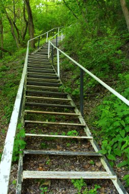 Parktaki merdivenler.