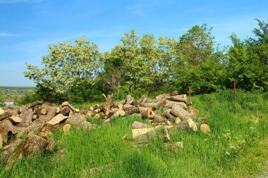 Yakacak odun, ağaç ve yakacak odun. Köyün bahçesindeki odunları. Ev için odun. Ormanda odun