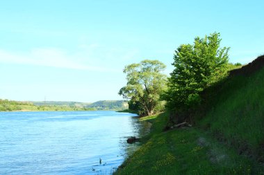 Büyük yeşil çimenleri olan nehir.