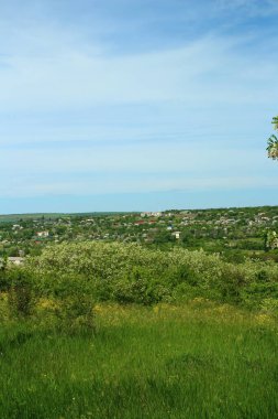 Gündüz vakti mavi gökyüzünün altında yeşil bir alanın dikey görüntüsü.