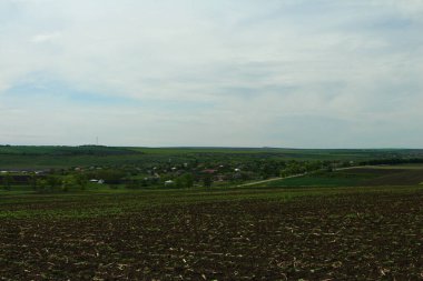 Kırsal alan tarlaları