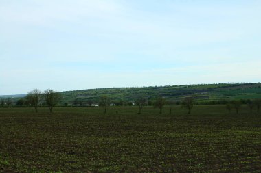 yeşil alan ve gökyüzü