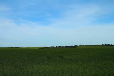 Yeşil alanlar ve mavi gökyüzü