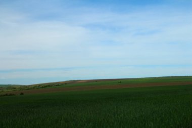 Mavi gökyüzü ile yeşil alan