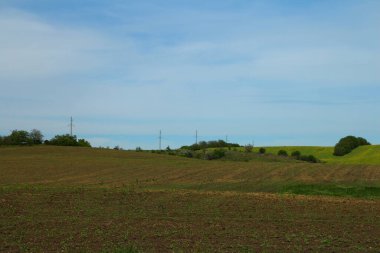 Yeşil tarla ve bulutlu mavi gökyüzü