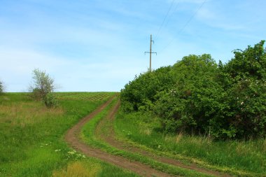 Yeşil ağaçlı, yollu ve bulutlu kırsal alan
