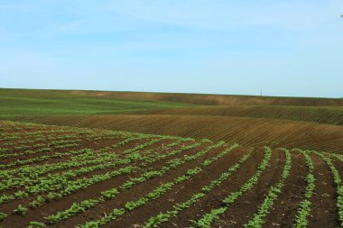 tarım alanı, tarım kavramı