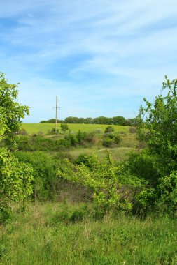 Doğanın güzel manzarası